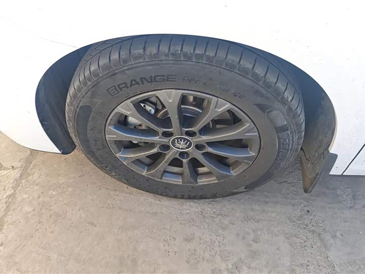 Фото 6 - BYD Qin L