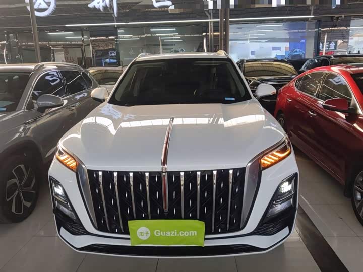 Фото 3 - Hongqi HS5