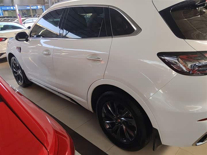 Фото 5 - Hongqi HS5