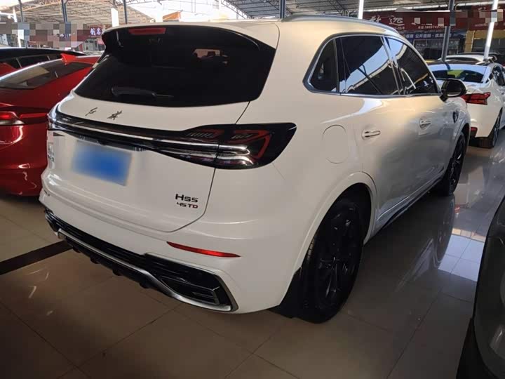 Фото 7 - Hongqi HS5