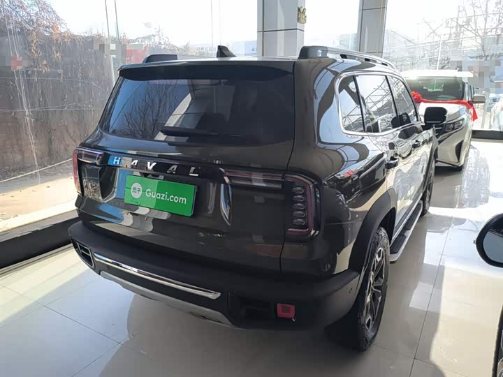 Фото 7 - Haval Dargo