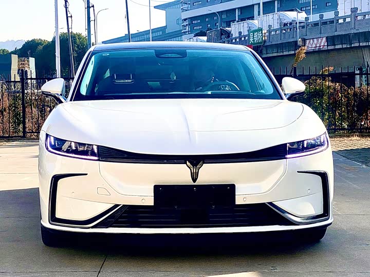 Фото 2 - Voyah Passion