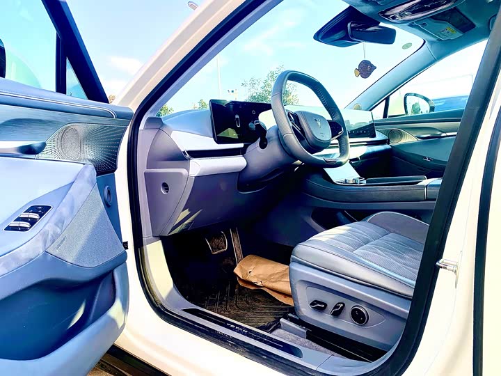 Фото 8 - Voyah Passion