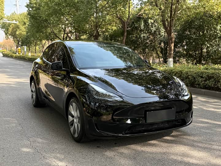 Фото 3 - Tesla Model Y