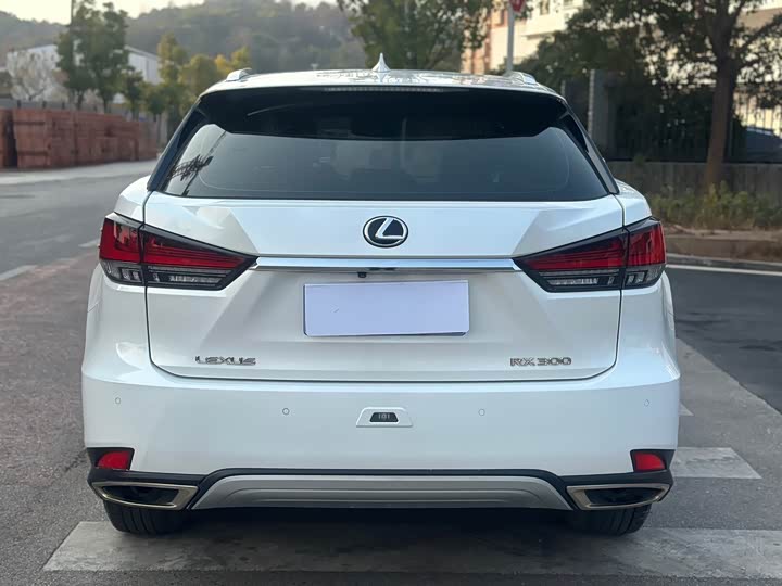 Фото 5 - Lexus RX