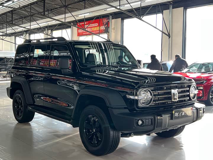 Фото 3 - Tank 300