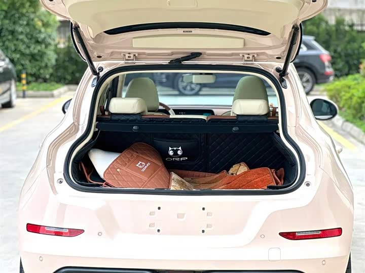 Фото 7 - Ora Good Cat (03)