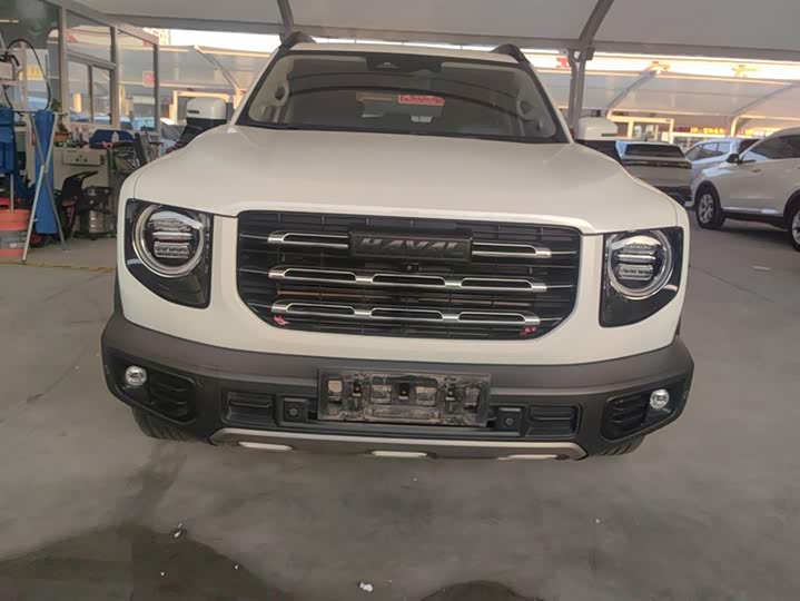 Фото 2 - Haval Dargo