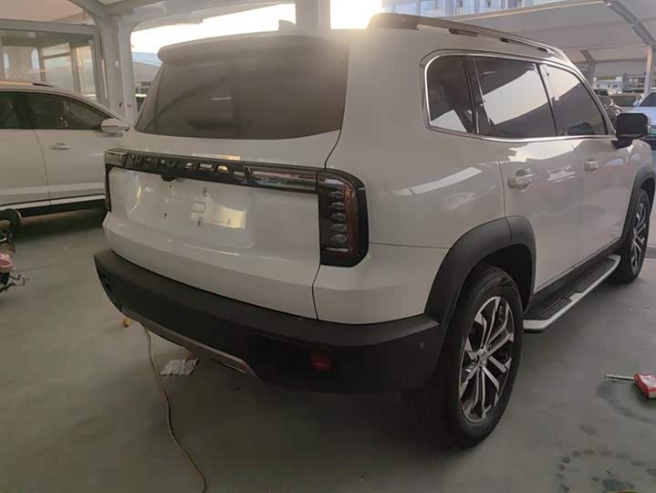 Фото 3 - Haval Dargo