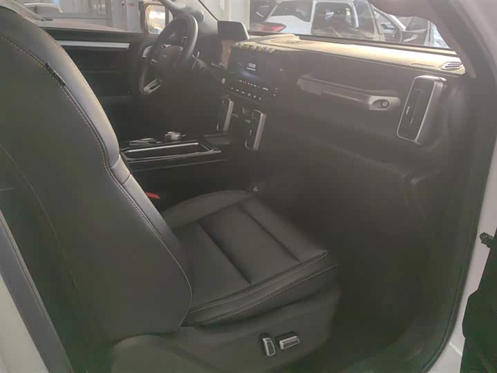 Фото 8 - Haval Dargo