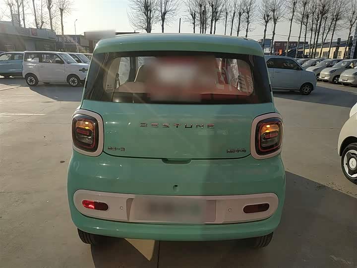 Фото 6 - Bestune Pony