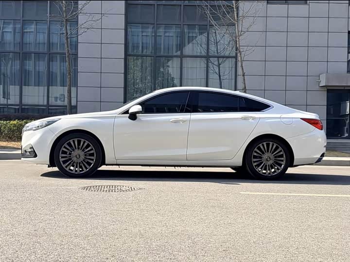 Фото 3 - Hongqi H5