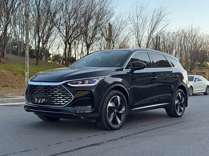 Фото 1 - BYD Tang Hybrid/EV