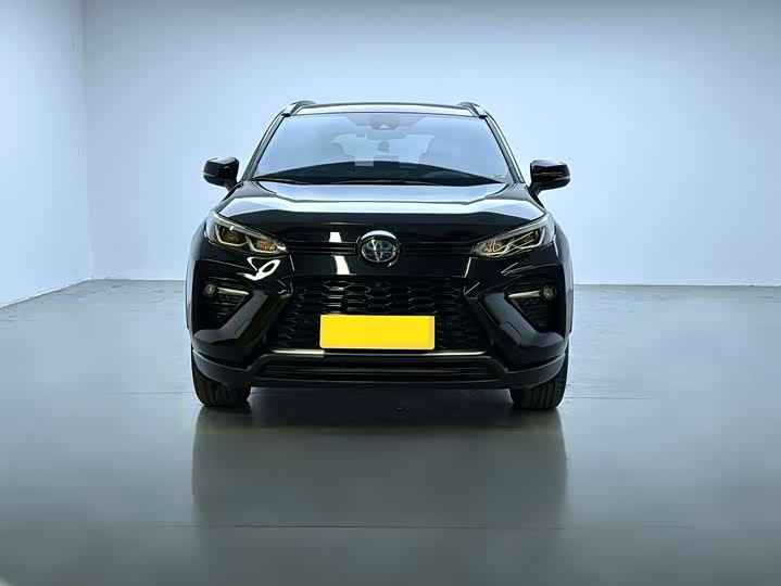 Фото 2 - Toyota Wildlander