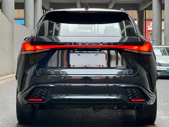 Фото 4 - Lexus RX