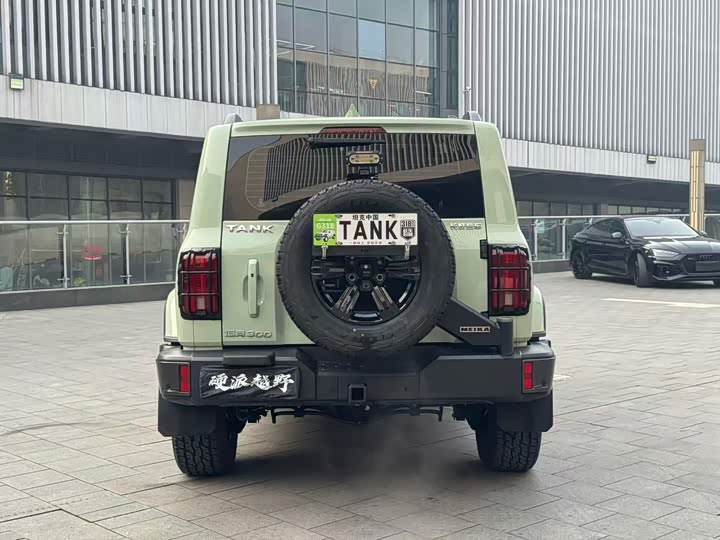 Фото 5 - Tank 300