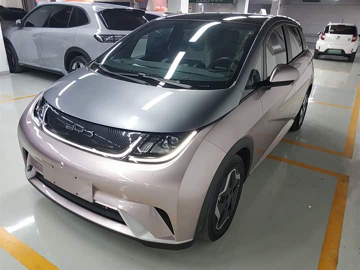 Фото 1 - BYD Dolphin