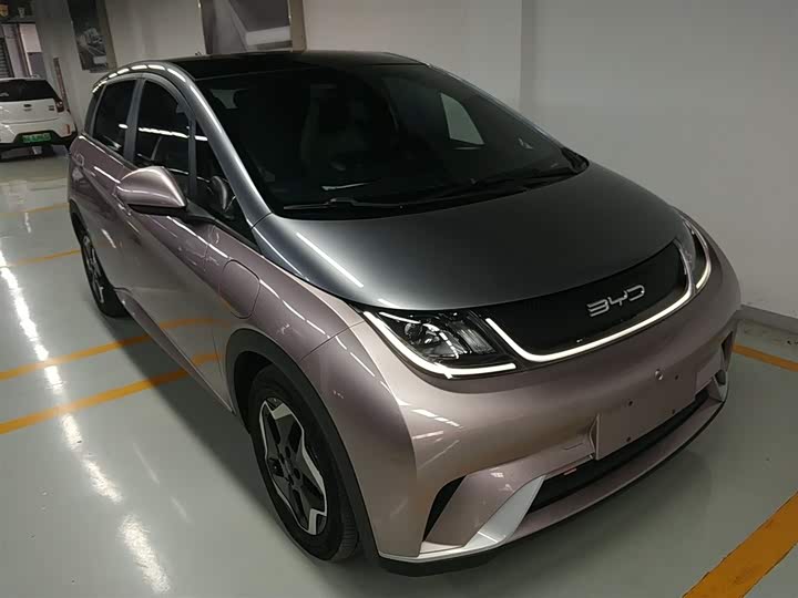 Фото 4 - BYD Dolphin