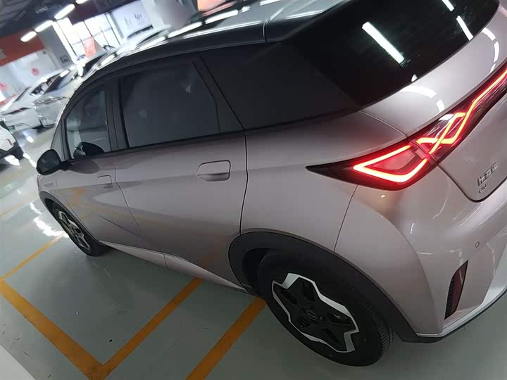 Фото 5 - BYD Dolphin