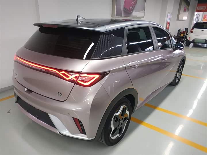 Фото 7 - BYD Dolphin