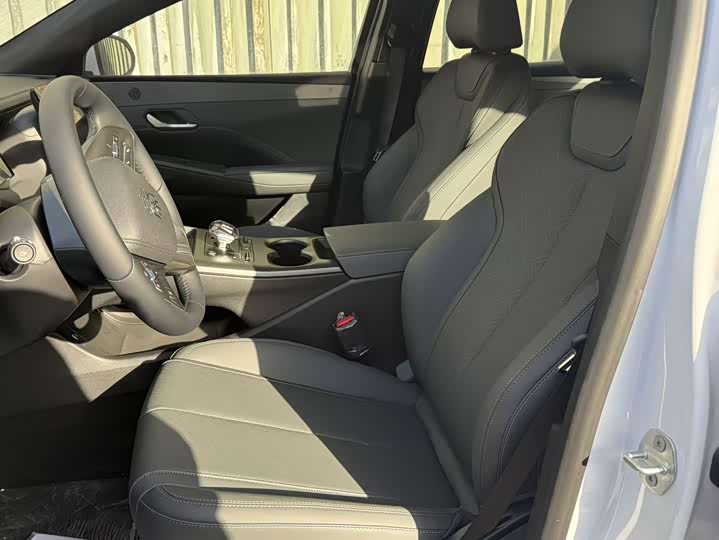 Фото 4 - BYD Qin Plus