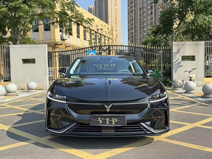 Фото 2 - Voyah Passion