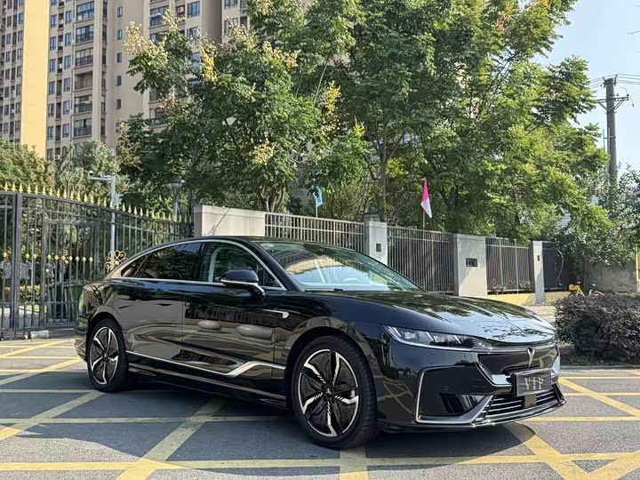 Фото 6 - Voyah Passion