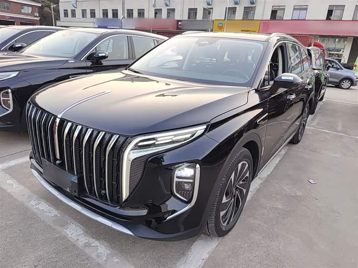 Фото 1 - Hongqi HS7 Hybrid