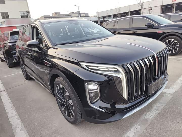 Фото 4 - Hongqi HS7 Hybrid