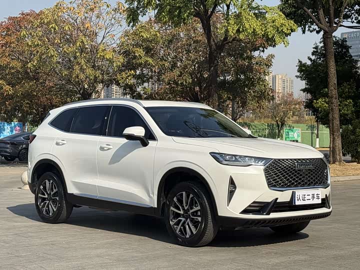 Фото 3 - Haval H6