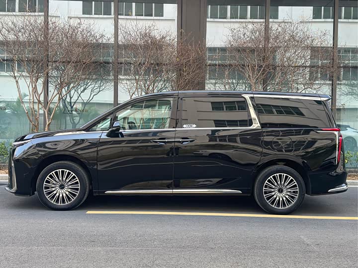 Фото 7 - Maxus Mifa 9