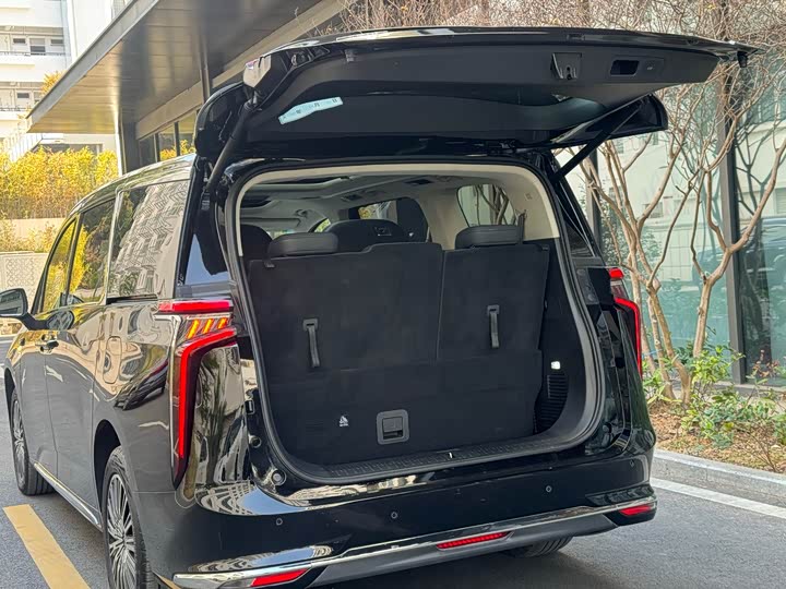 Фото 8 - Maxus Mifa 9