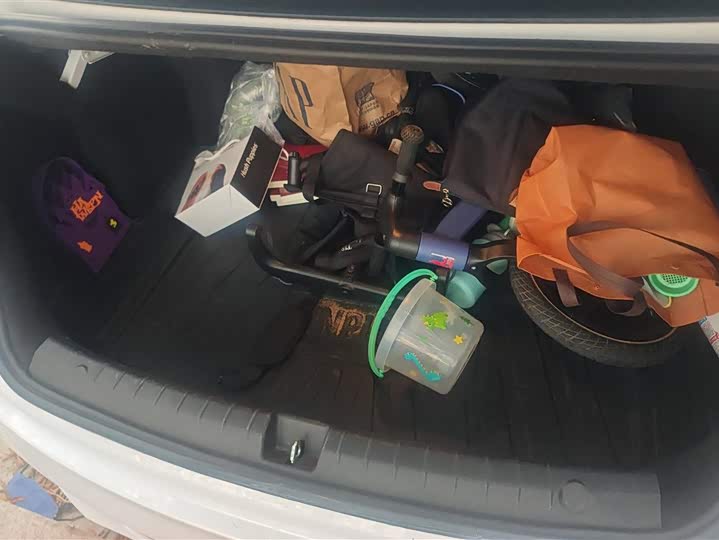 Фото 4 - BYD Qin Plus