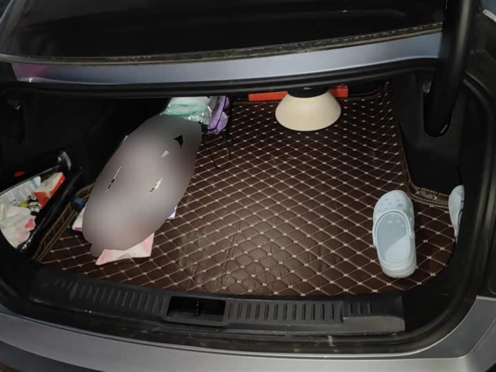 Фото 4 - Lincoln Z (Zephyr)