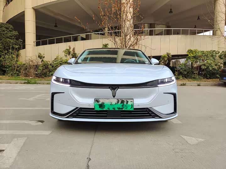 Фото 2 - Voyah Passion