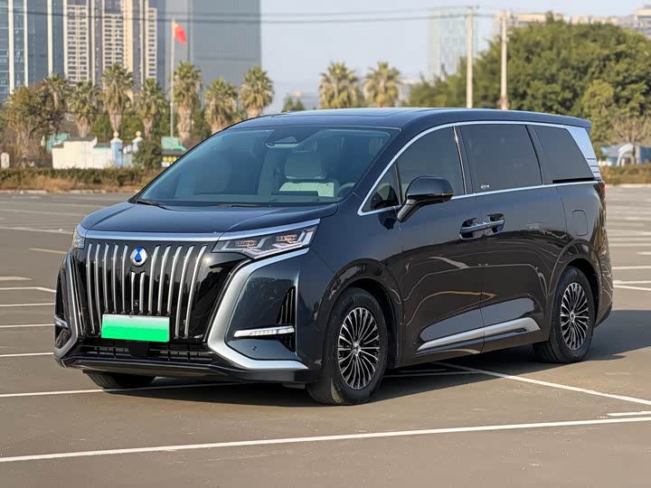 Фото 1 - Denza D9