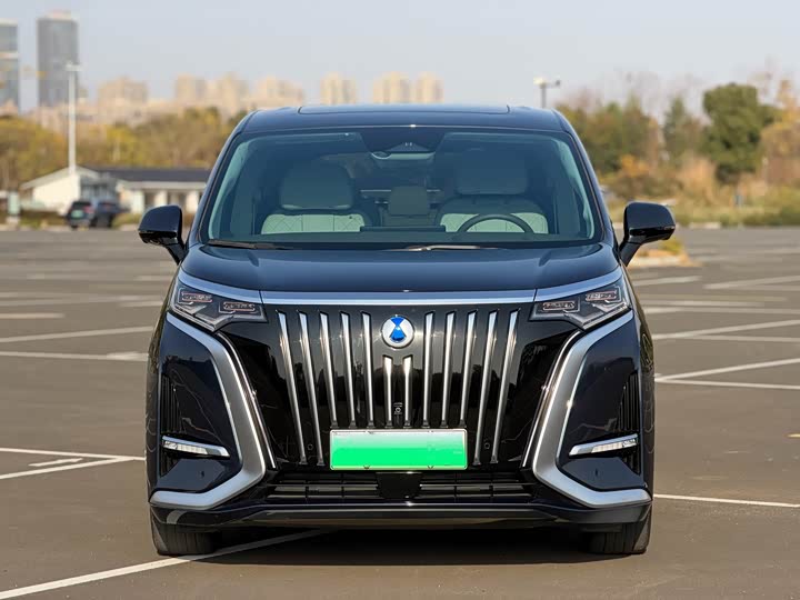 Фото 2 - Denza D9