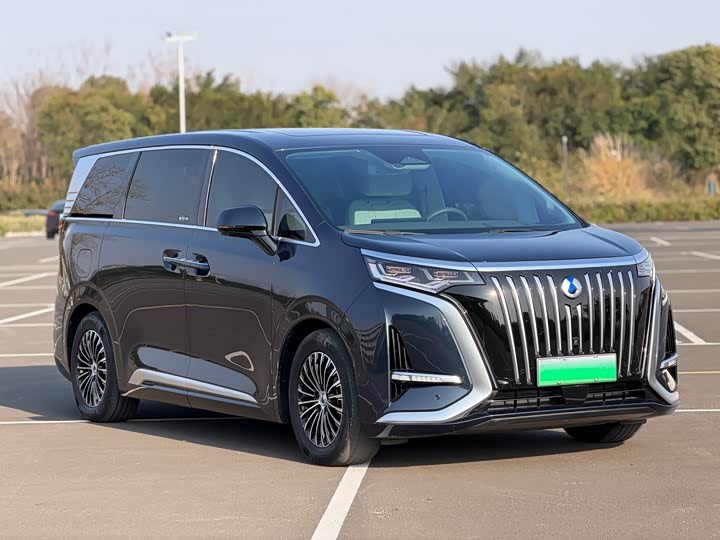 Фото 3 - Denza D9