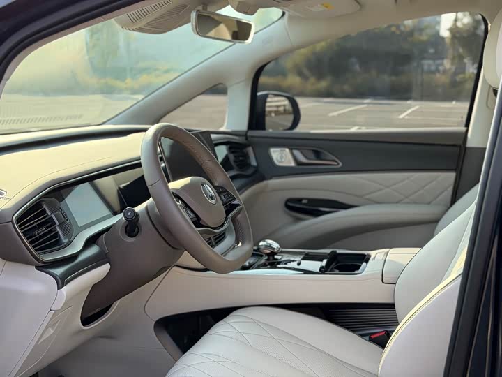 Фото 8 - Denza D9