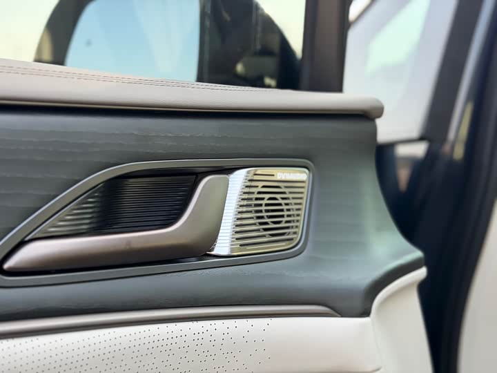 Фото 9 - Denza D9