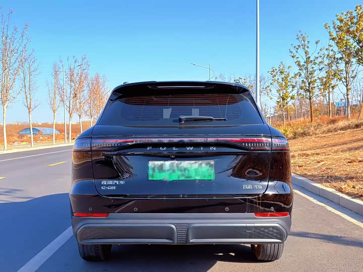 Фото 8 - Chery Fulwin T9