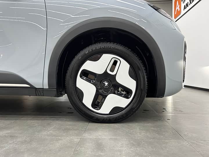 Фото 6 - BAIC Arcfox Kaola