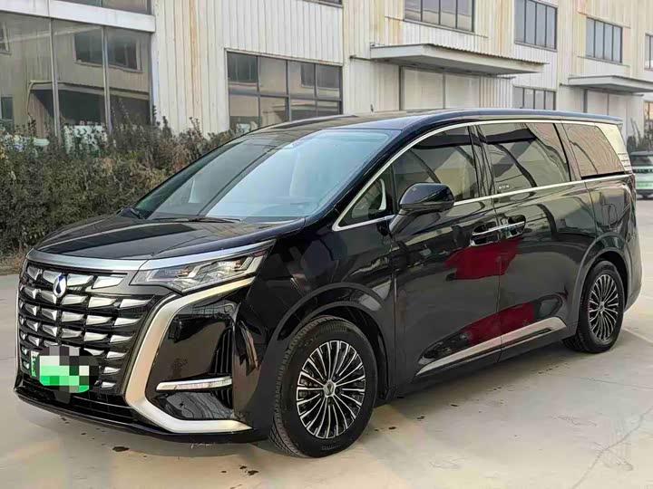 Фото 1 - Denza D9