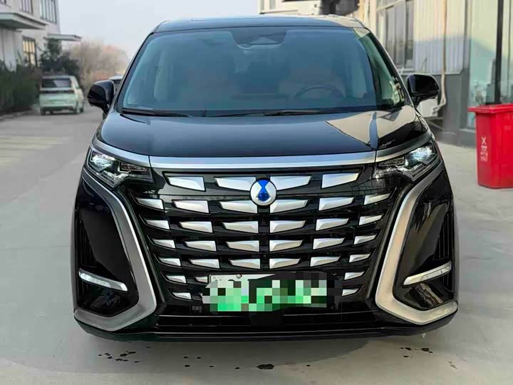 Фото 2 - Denza D9