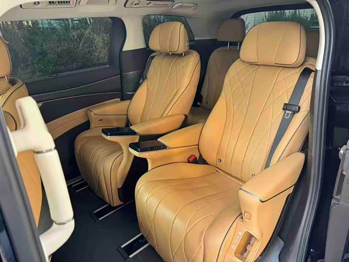 Фото 4 - Denza D9