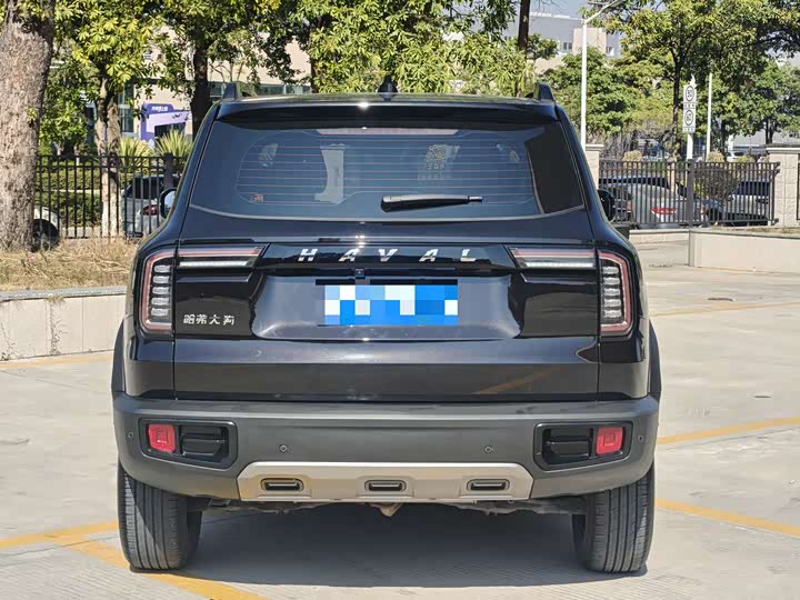 Фото 5 - Haval Dargo