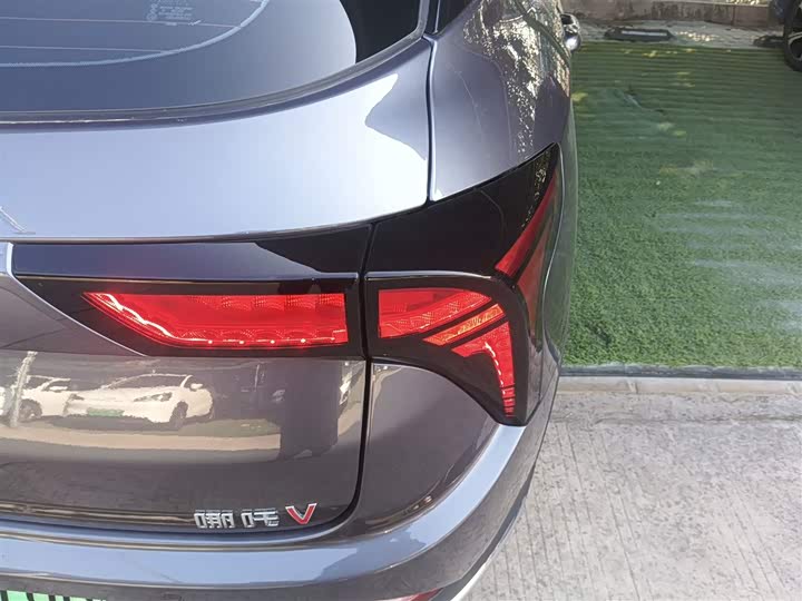 Фото 8 - Hozon V