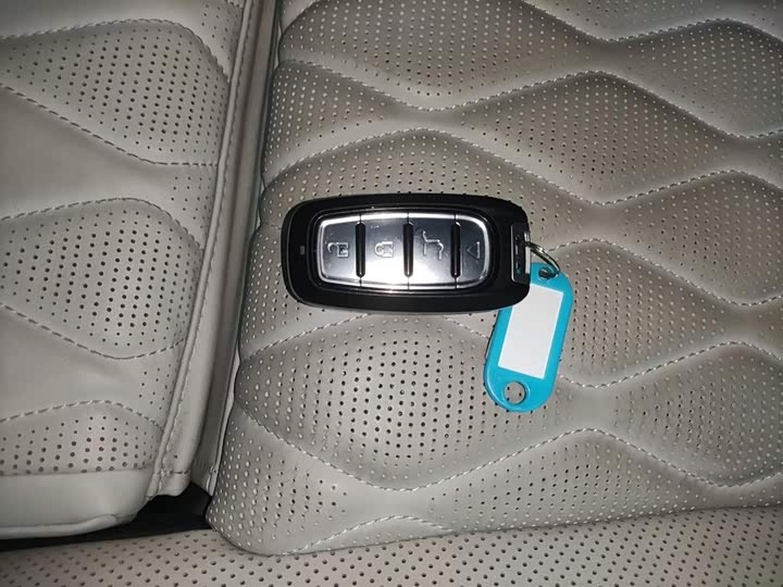 Фото 8 - BYD Tang Hybrid/EV