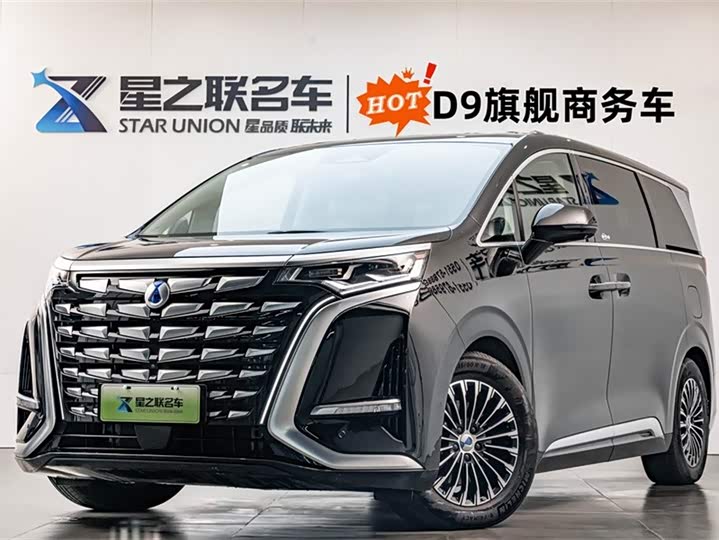 Фото 1 - Denza D9