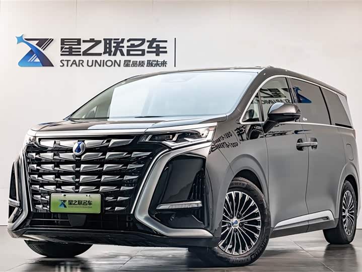 Фото 2 - Denza D9